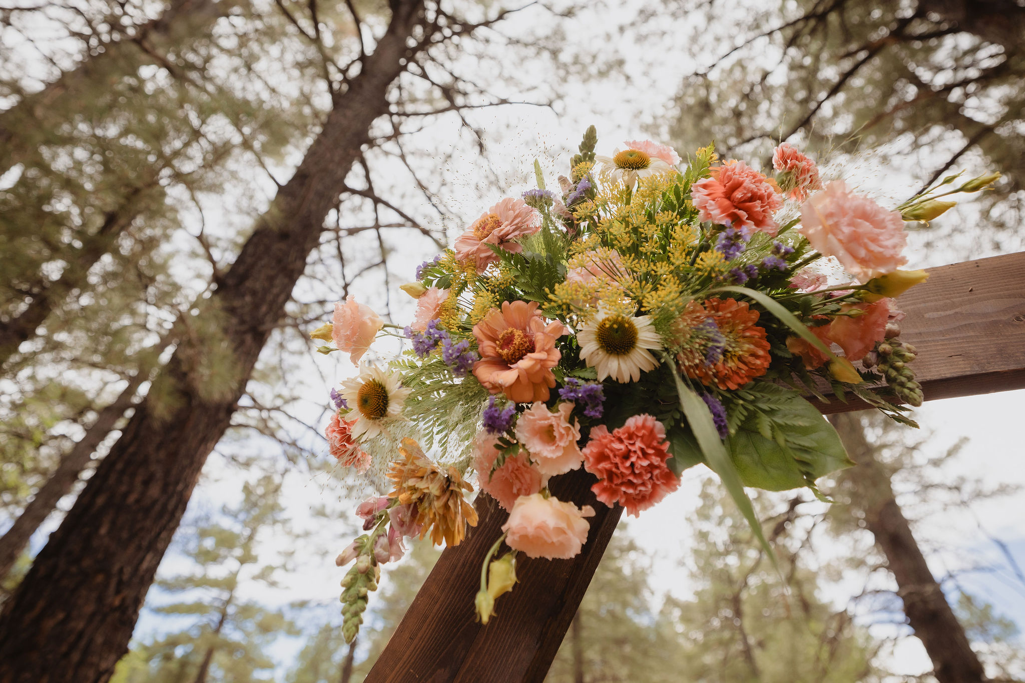 Kellie’s bouquet with warm autumn colors in the pine trees