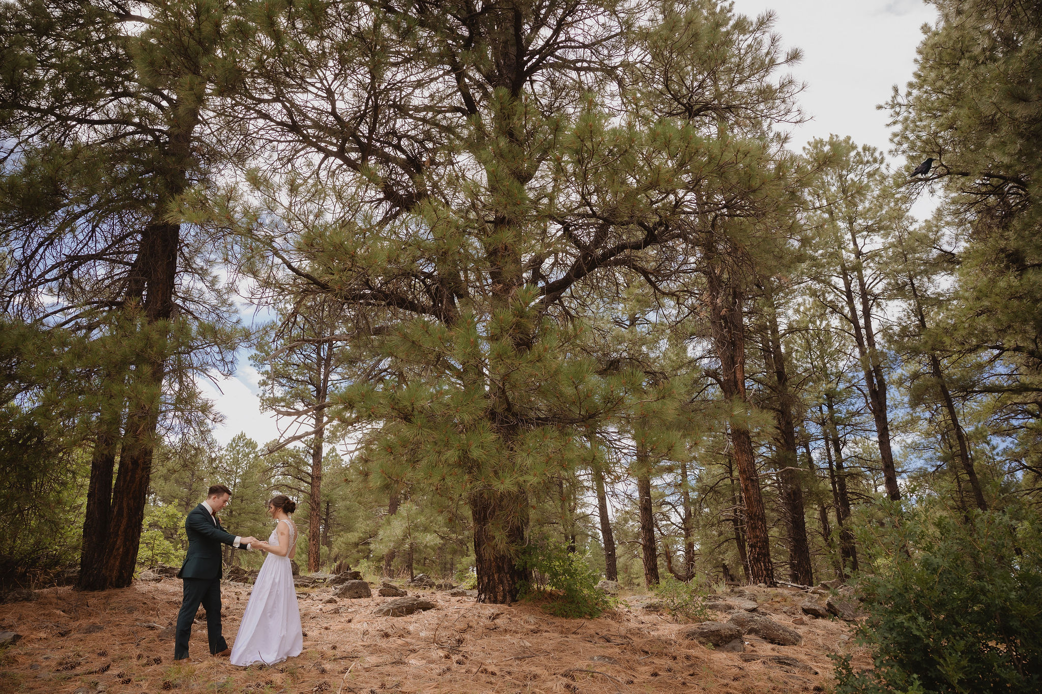 Kellie and Jake walking together through the pines
