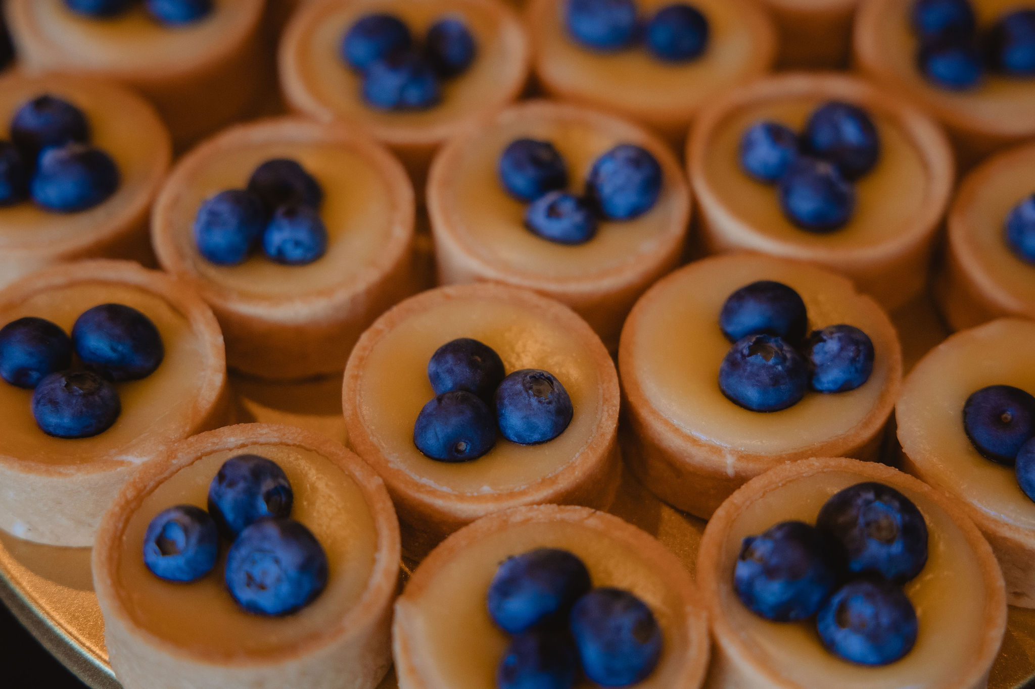 Blueberry dessert tarts at Kellie and Jake’s reception